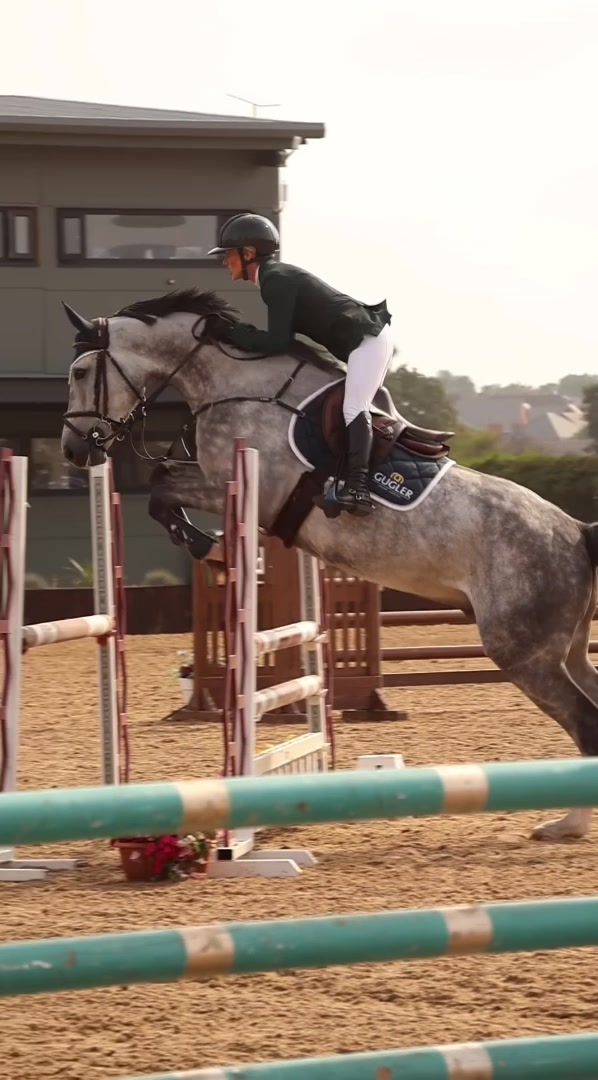 @Lucy Struthers Horses