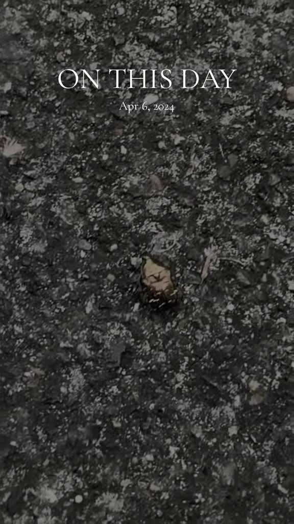 @Riven Makukule