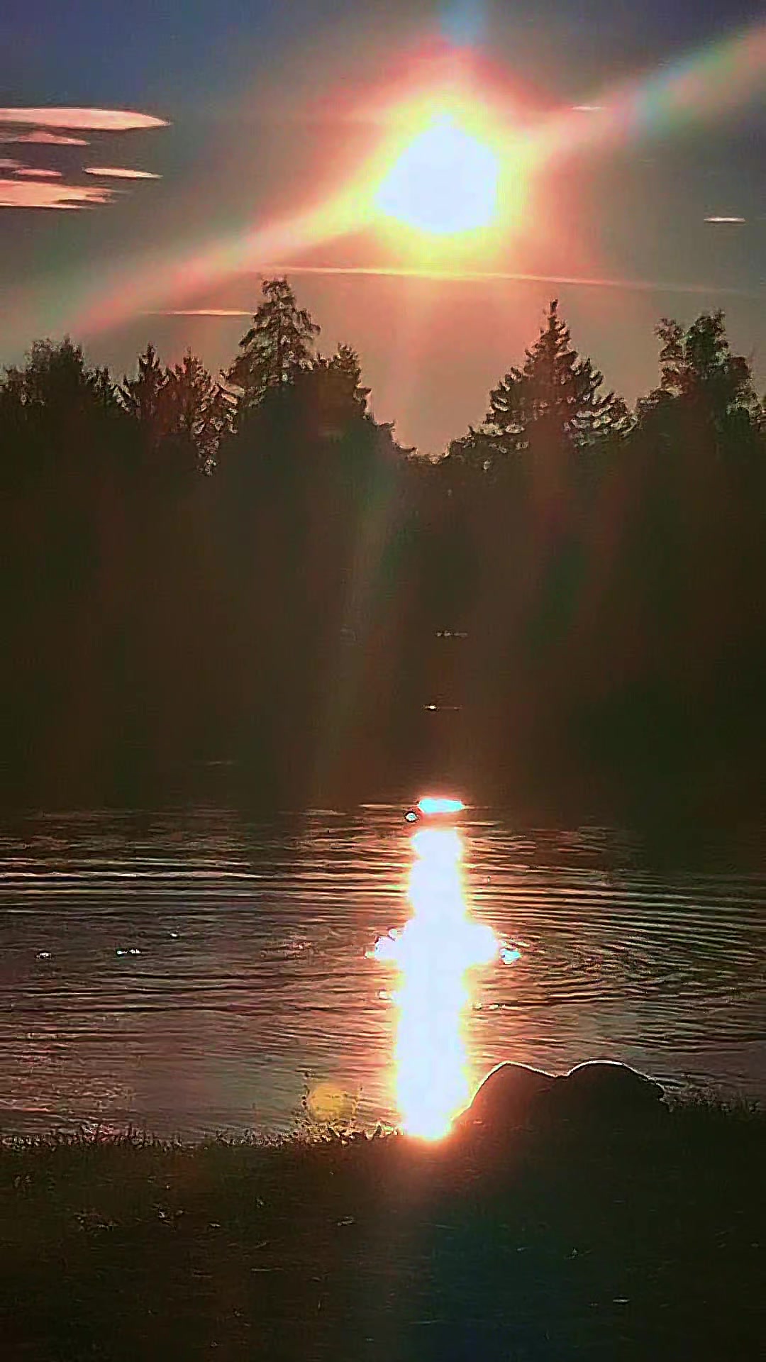 @𝓓𝓲𝓭𝓮𝓶 🌹 𝓖ü𝓵