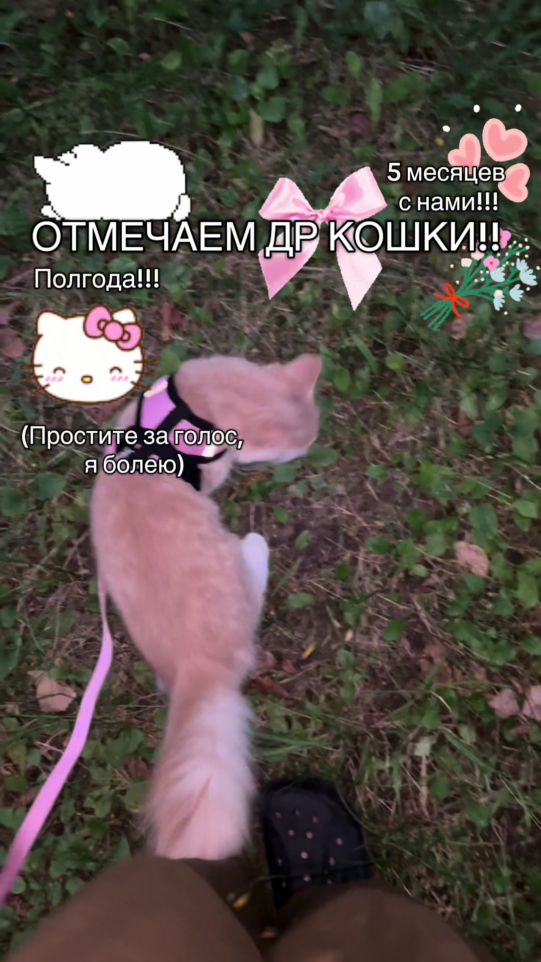 @🌸|| 𝓡𝓪𝓰𝓱𝓪𝓽𝓪||🌾