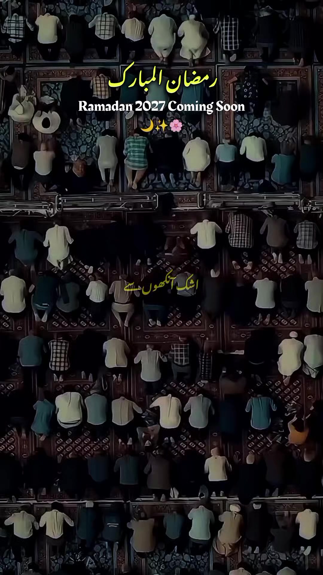 @ℍ𝕒𝕞𝕫𝕒❤&zwj;🩹