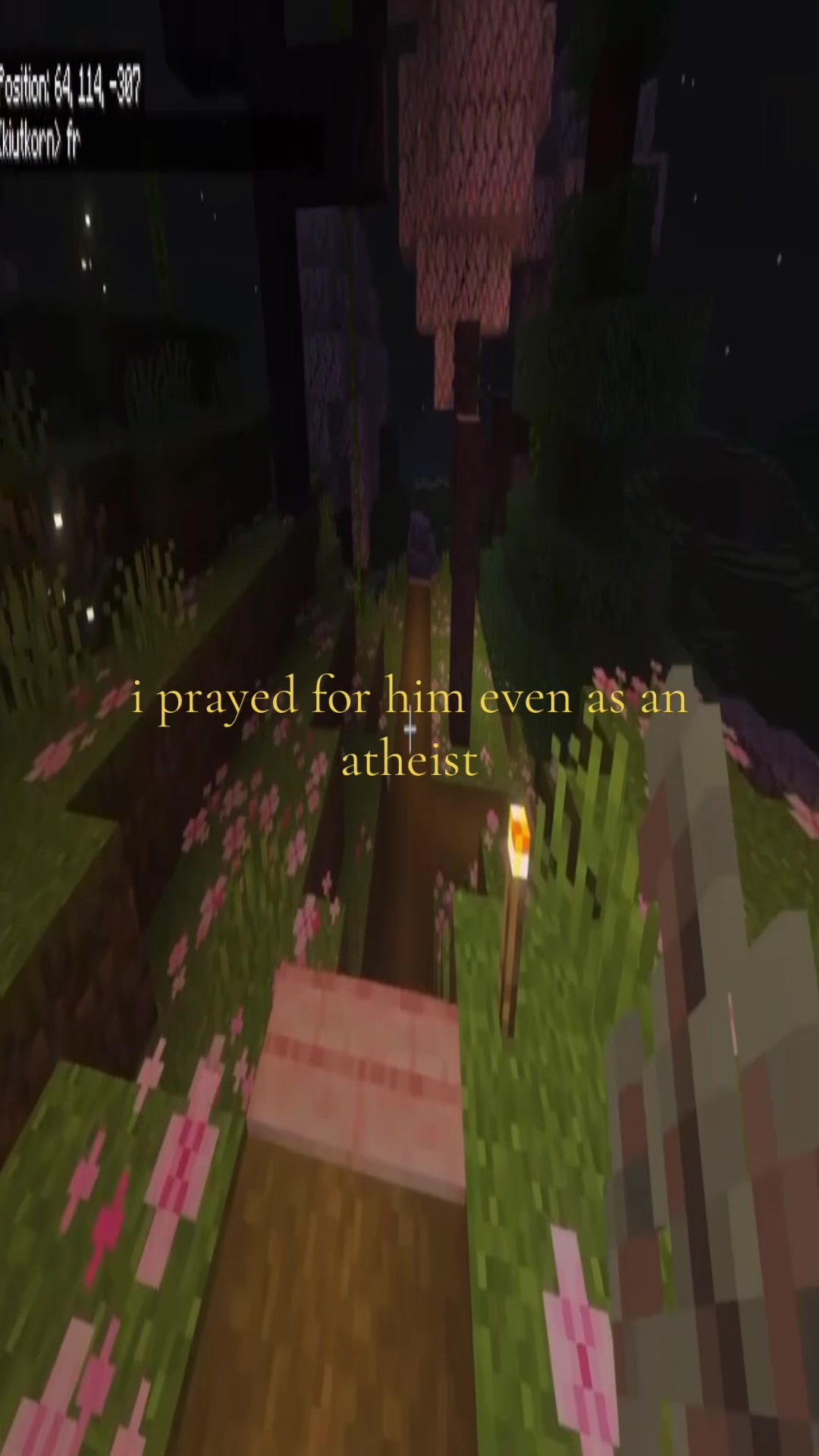 @cat