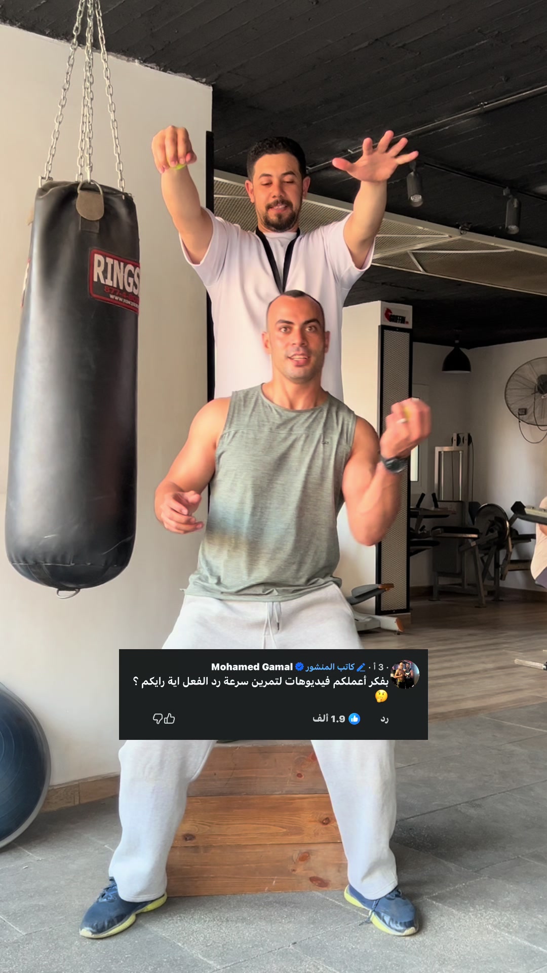 @جيمي شان
