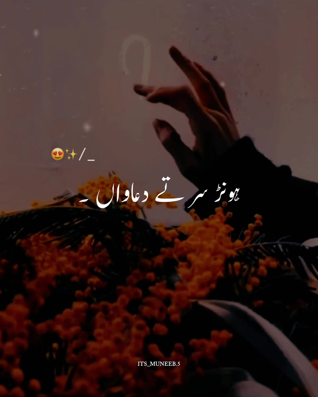 @Muneeb Jutt | Vibe Lyrics 🎧