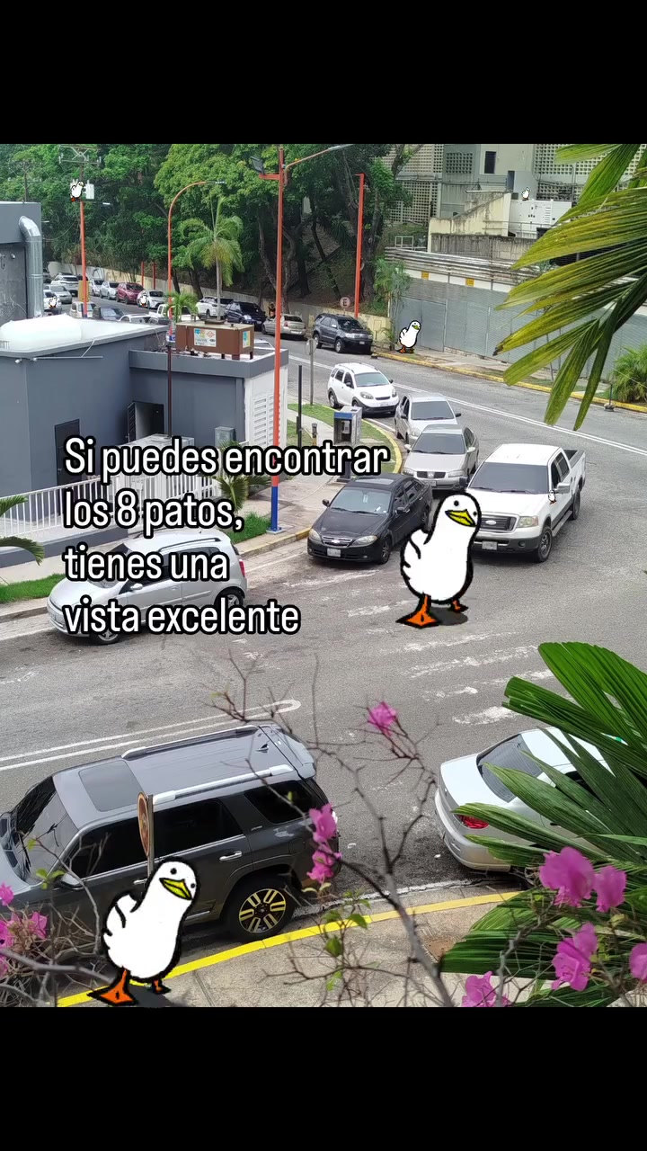@Cuentos de Terror