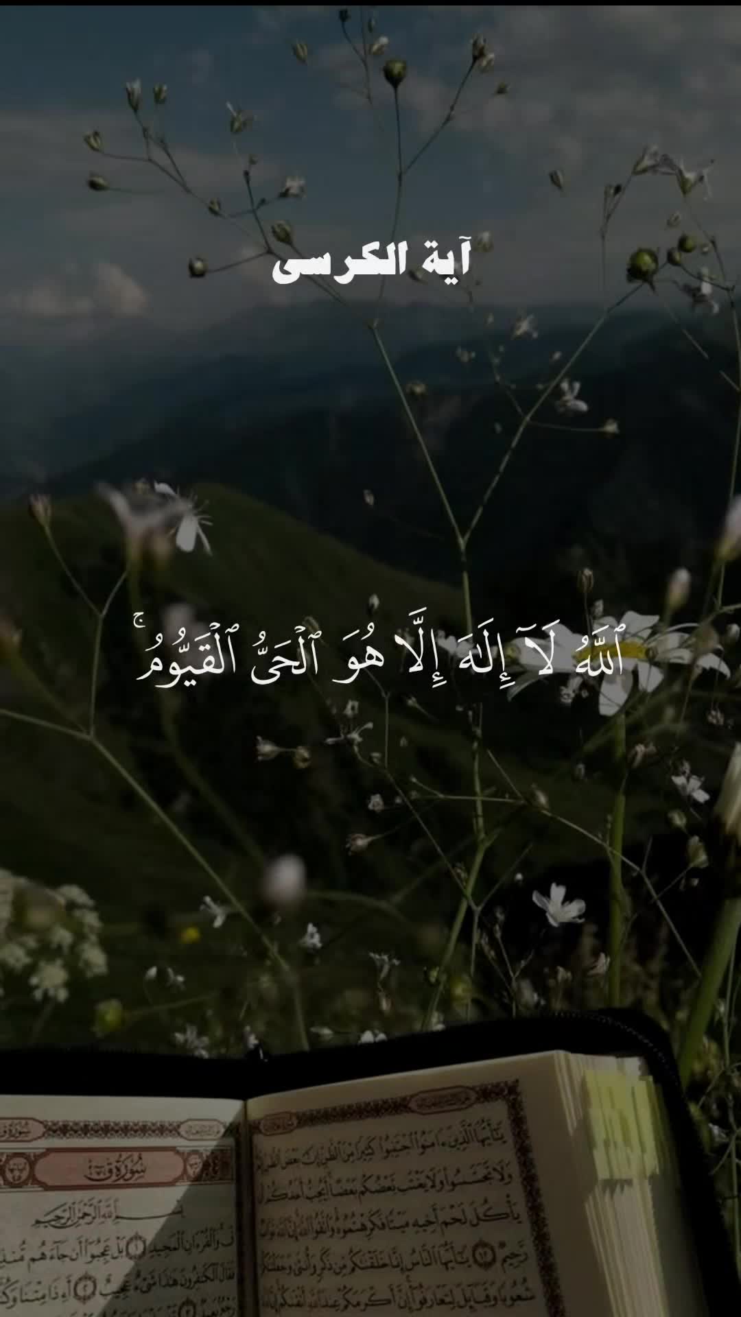 @ألا بذكر الله تطمئن القلوب 🤍