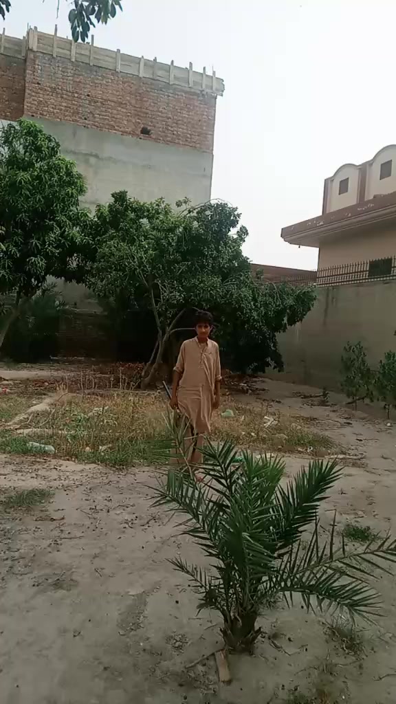 @MHaseeb