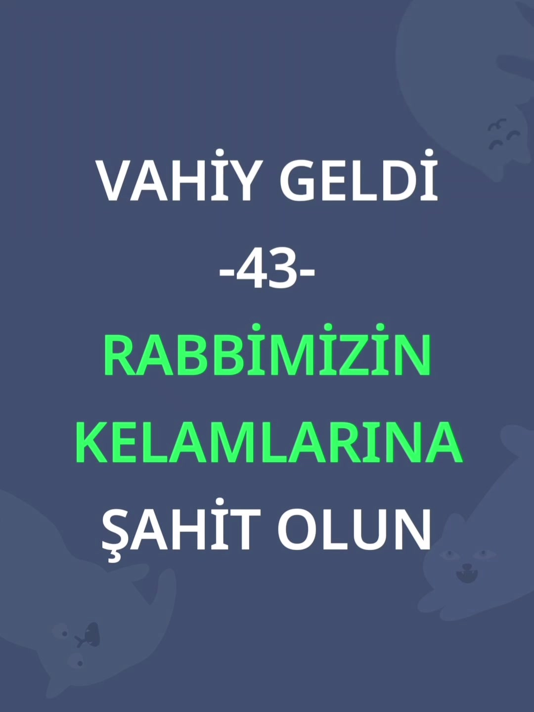 @Adedi berrak ahi