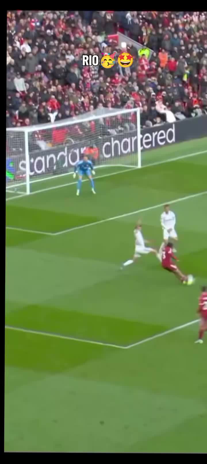 @LE REDS TM_34