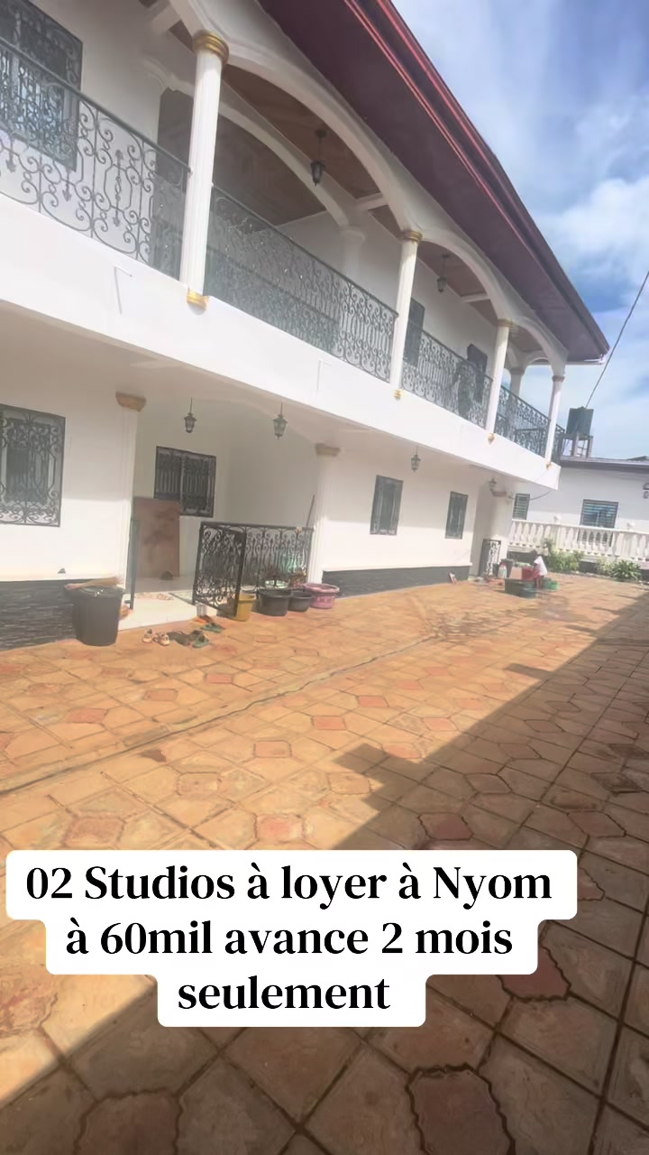 @DINO~IMMO~237🇨🇲🇨🇲