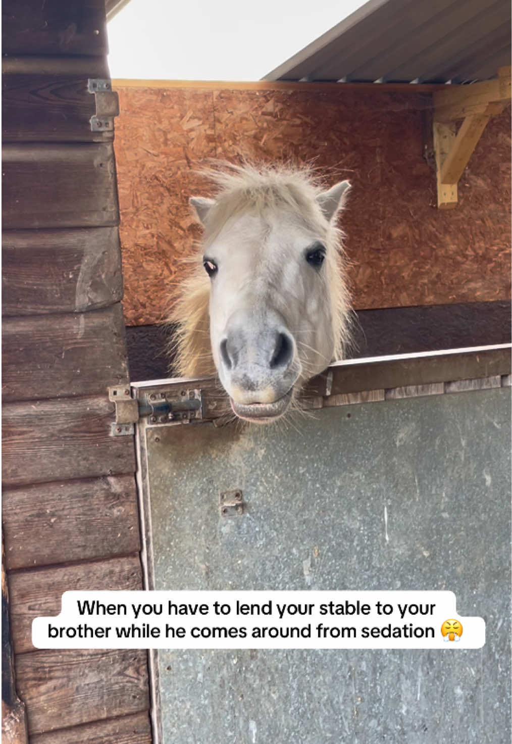 @jodiehenley