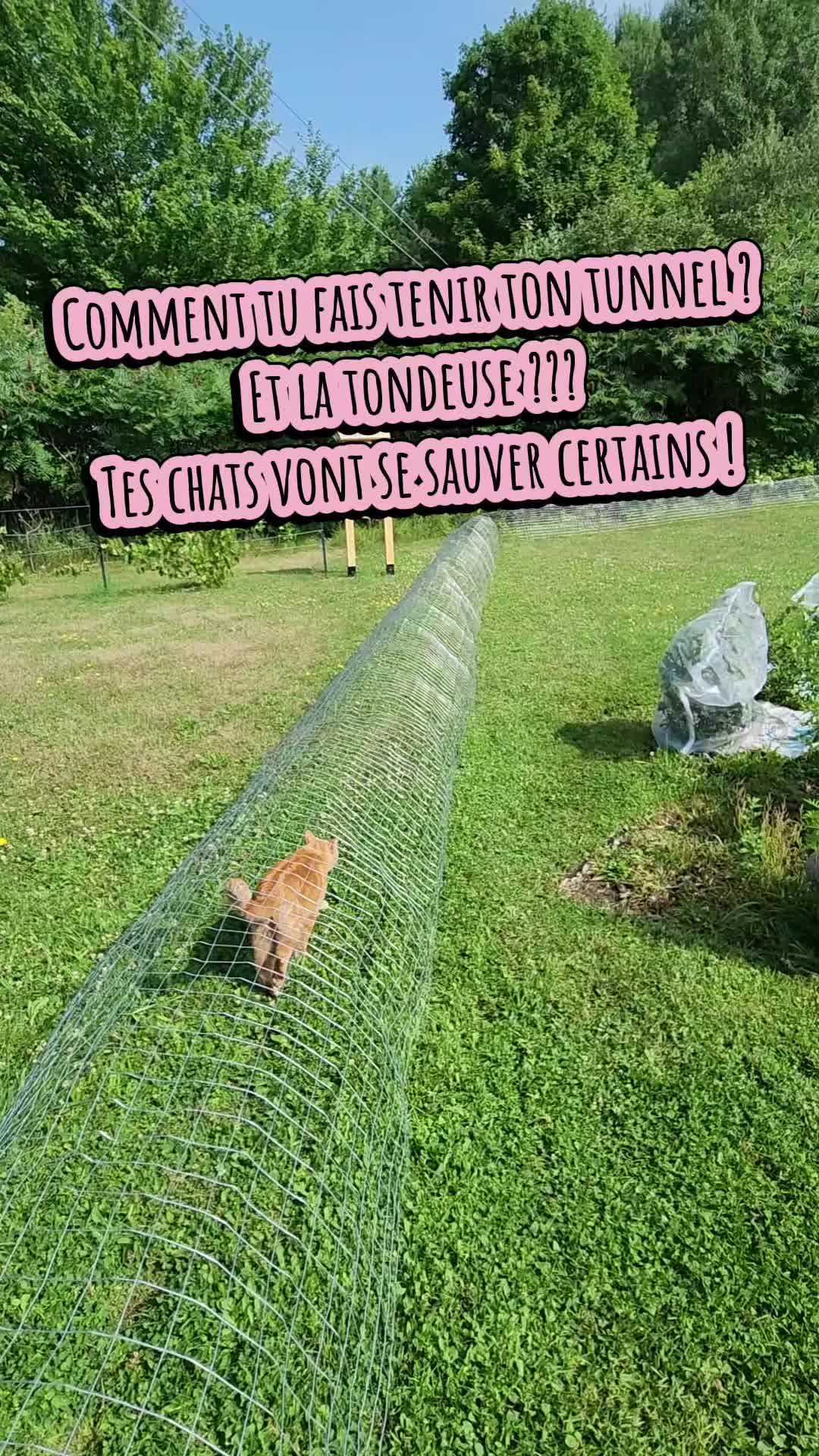 @May la taxidermiste 🇨🇦
