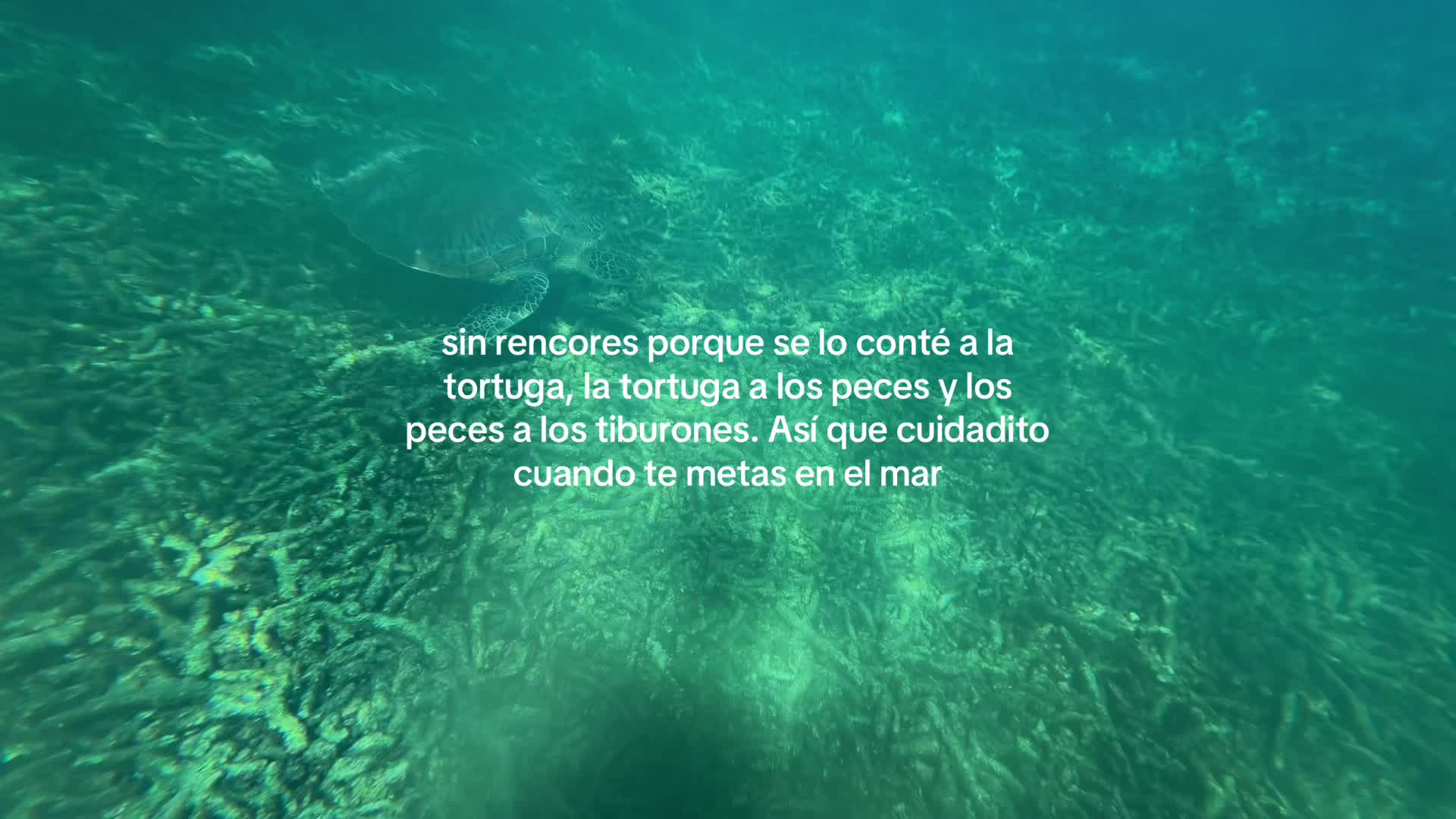 @joan_camus