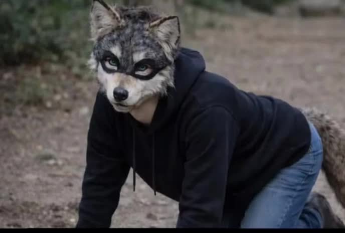 @elgatok