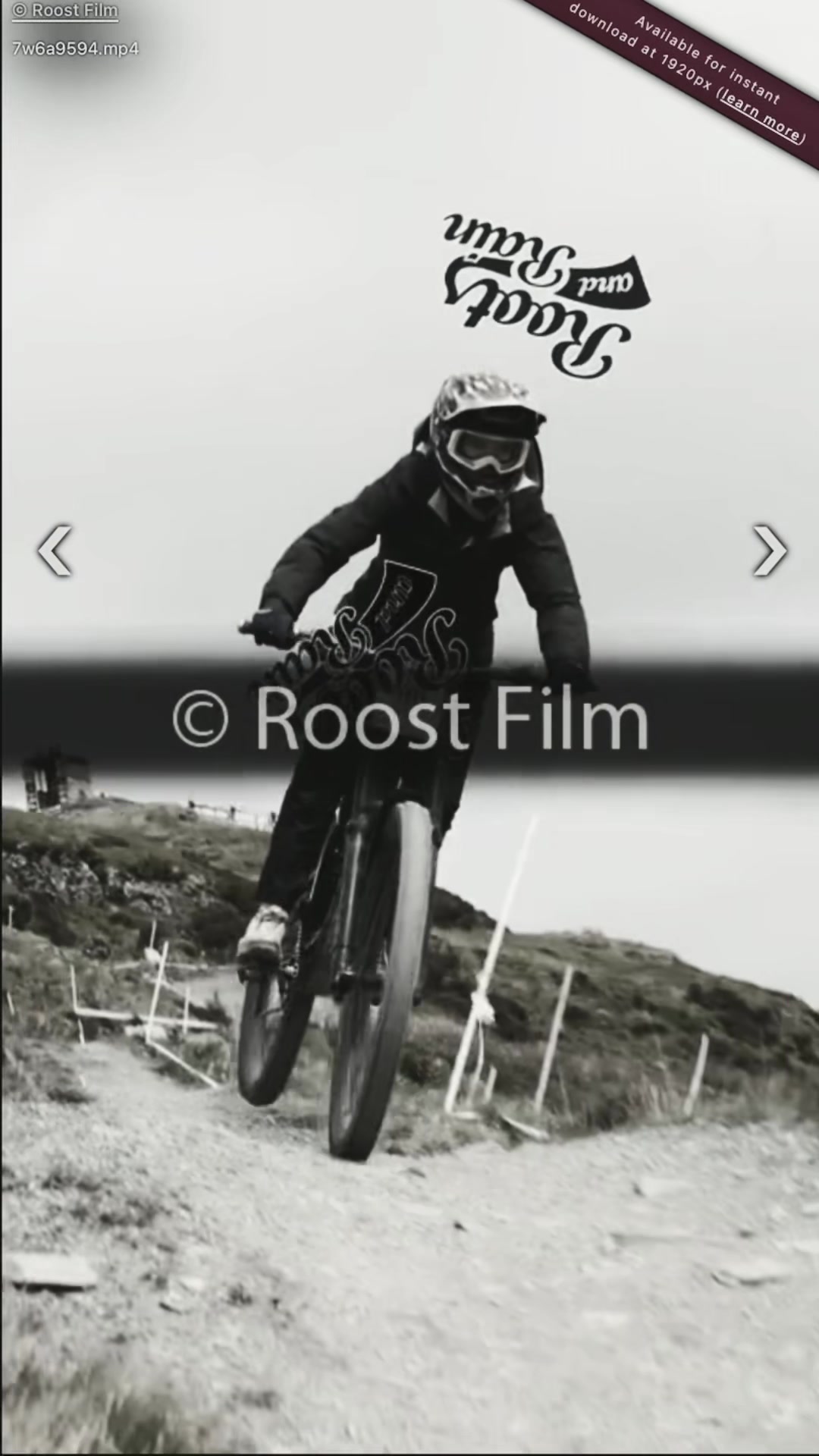 @🚲𝑫𝒂𝒊𝒔𝒚🚲
