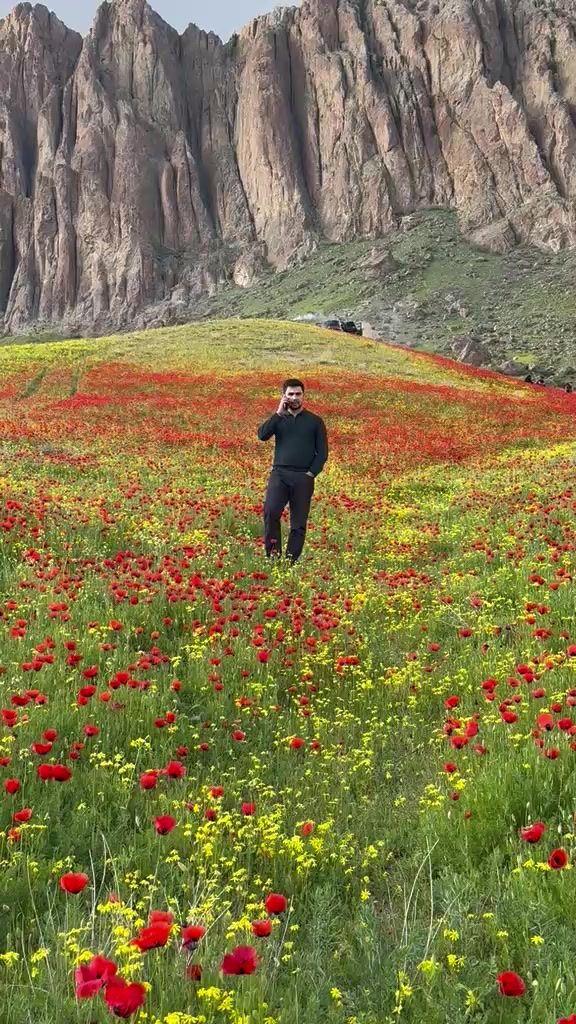 @Rəşad_ismayilov_401