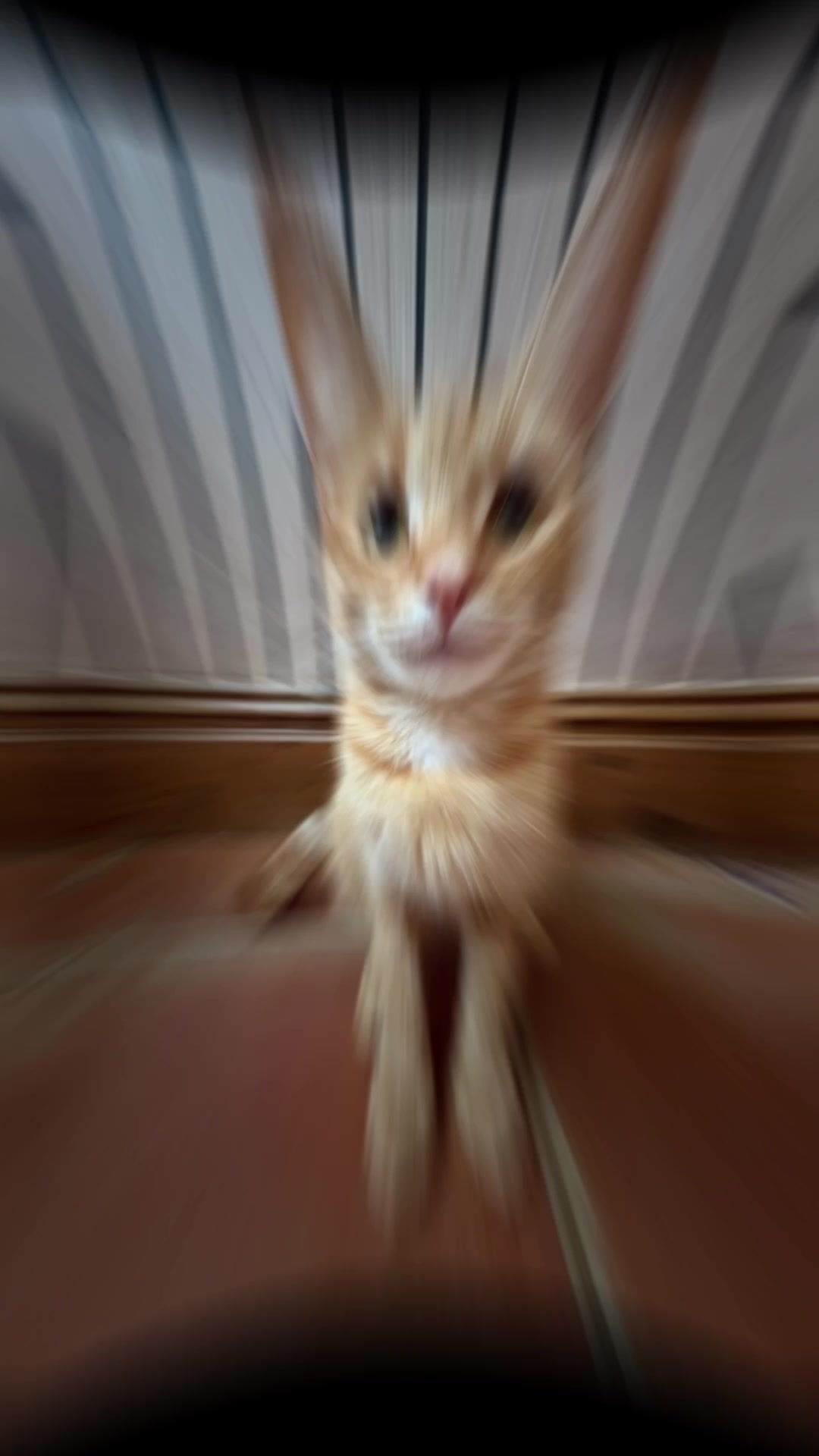 @Mittens