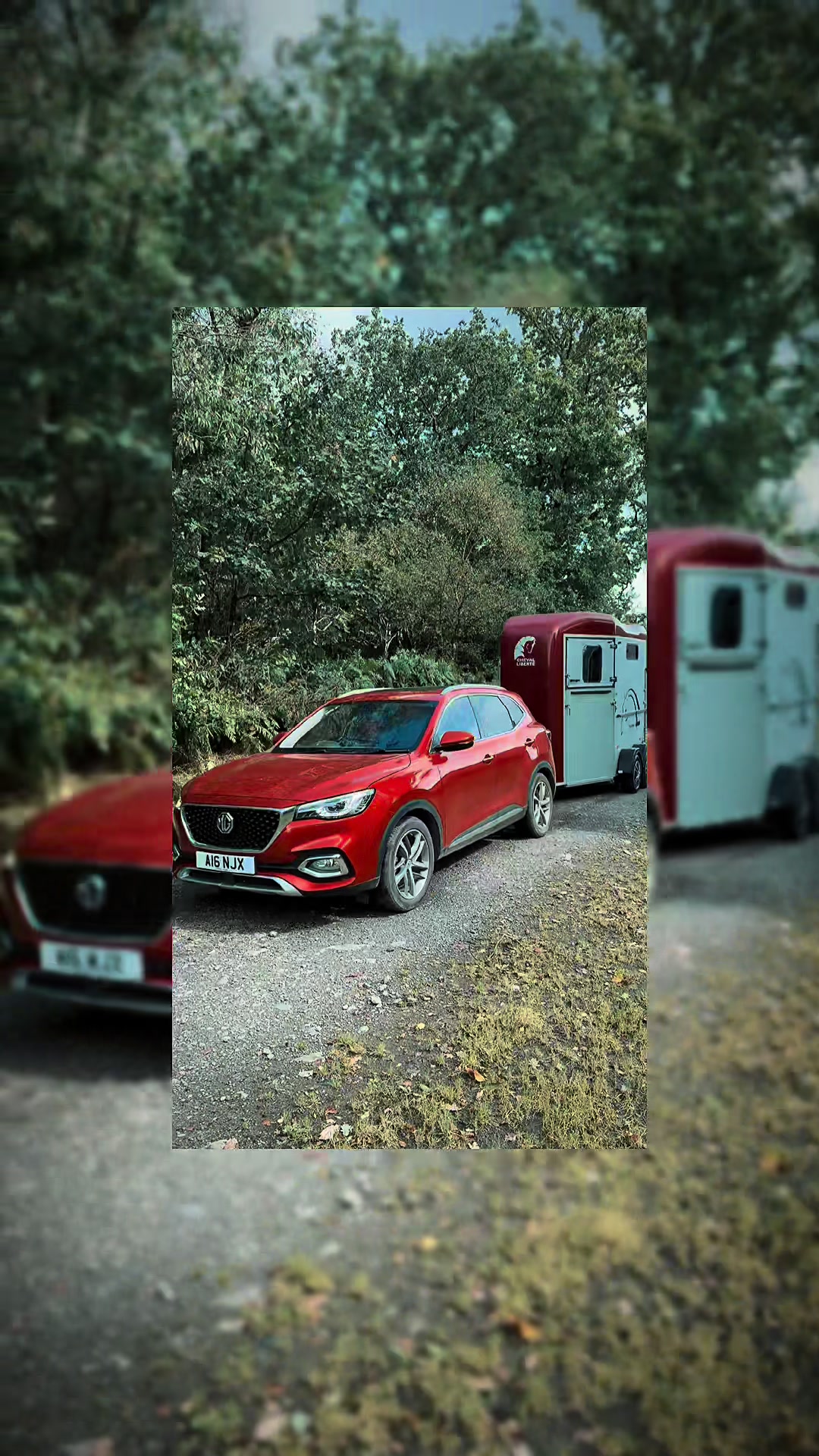@dandgtrailers