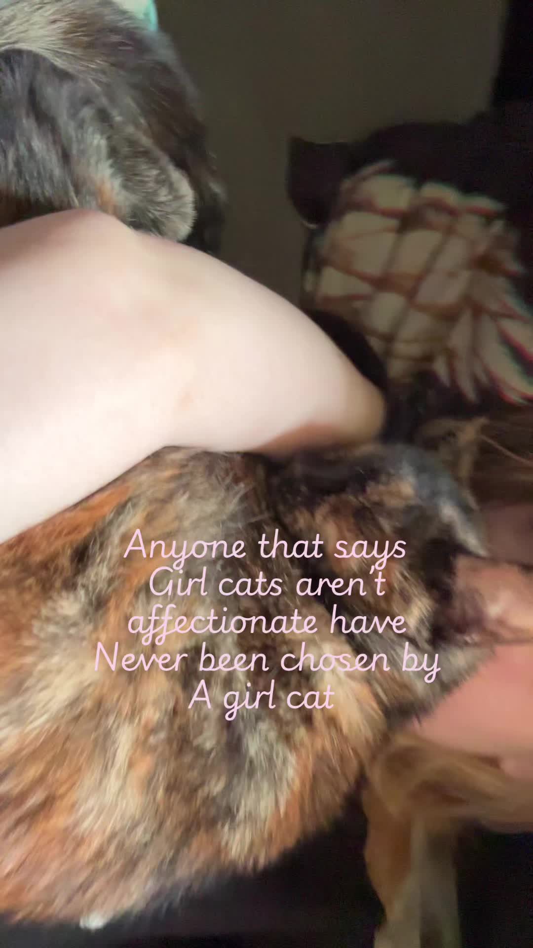 @Charlie 🦦