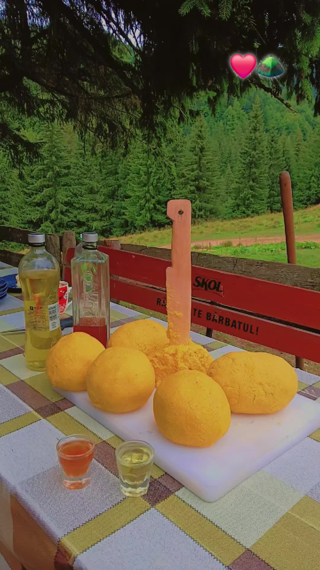 @Jidanu 🌲🐕🐑🌲❤️