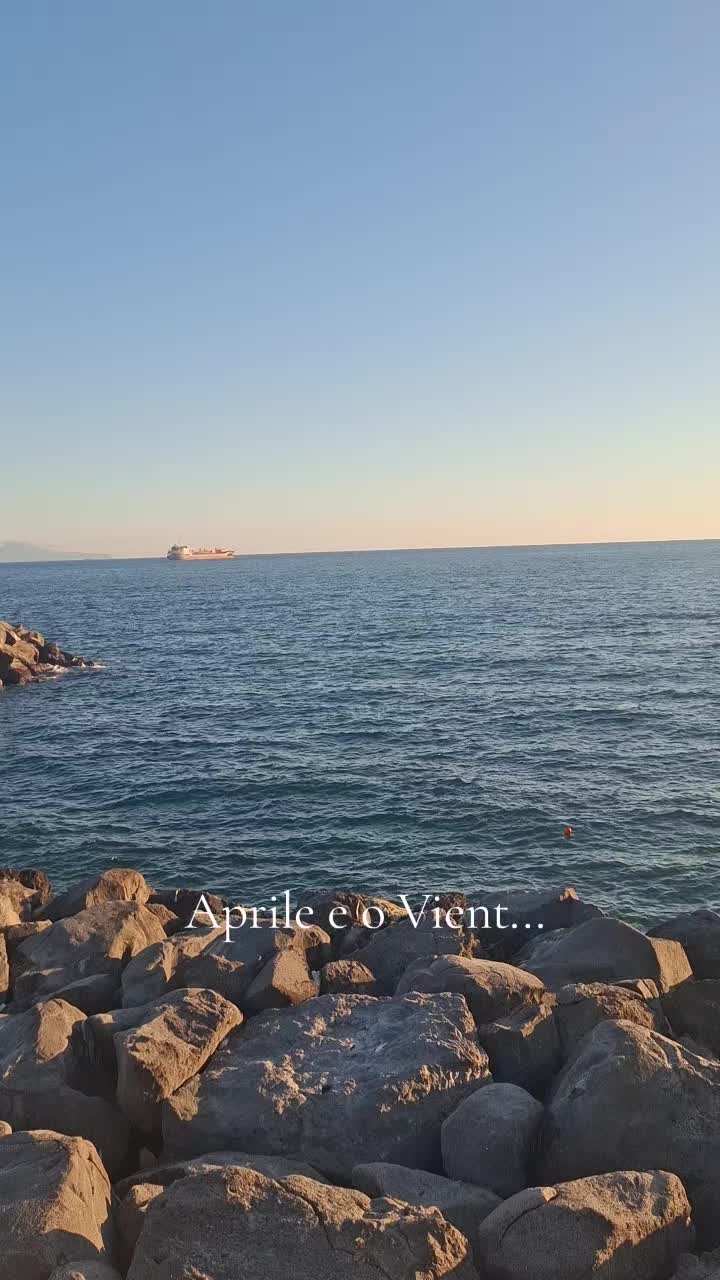 @Daniela Cocchia