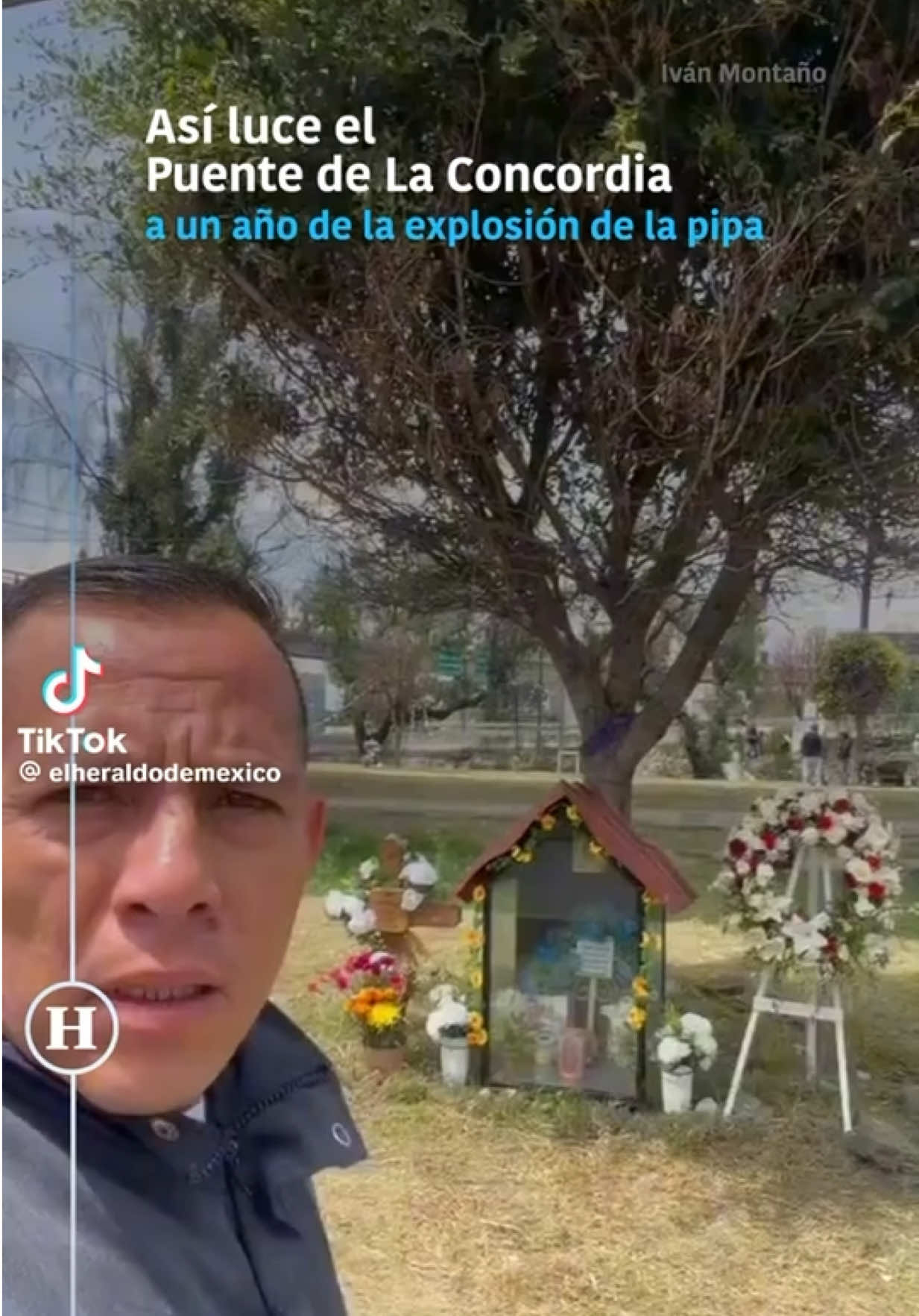 @HalconOnce