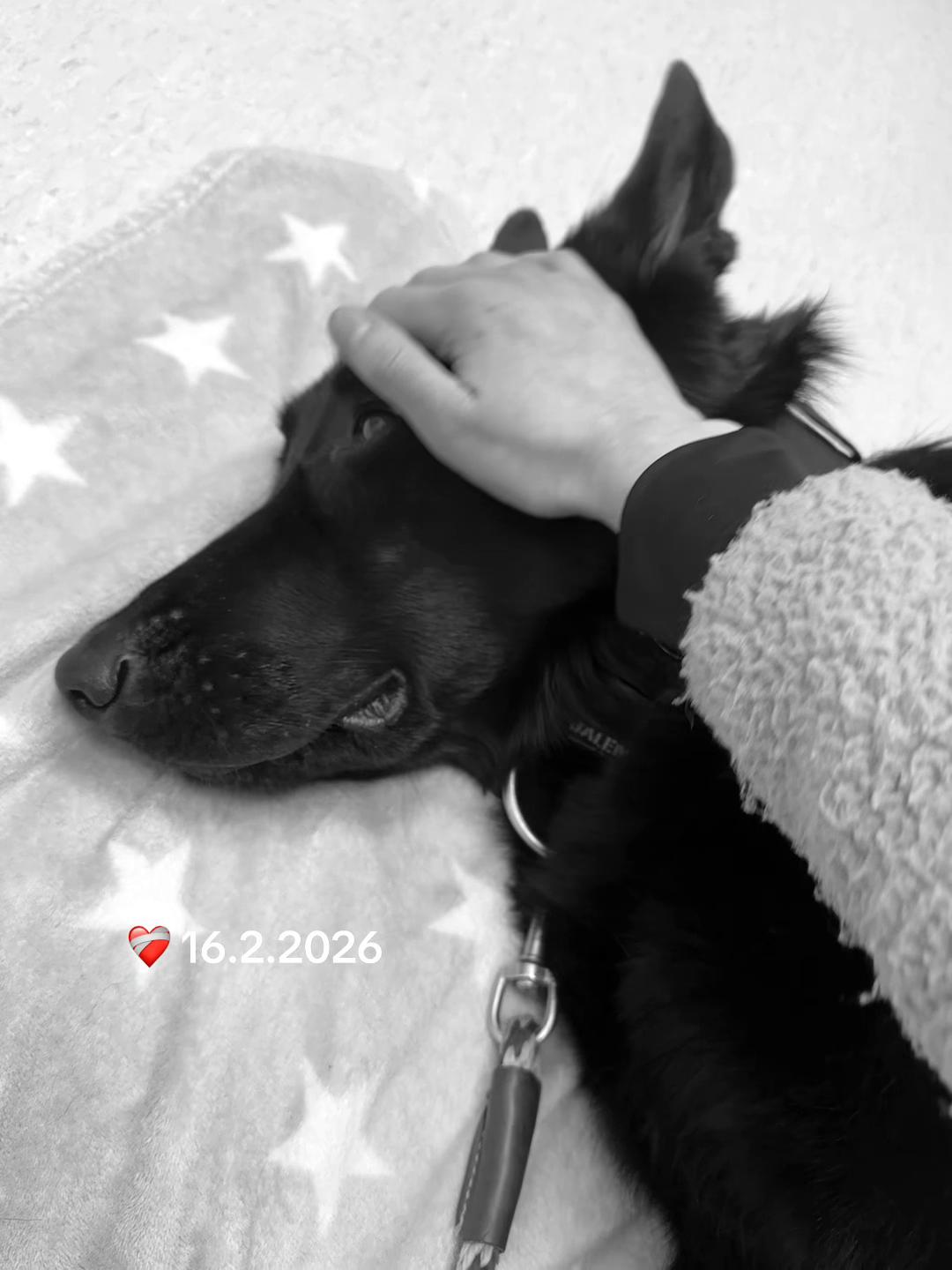 @Jenni 🦋