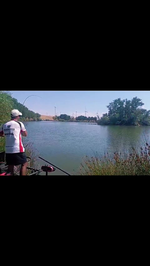 @pierpaologaeta7