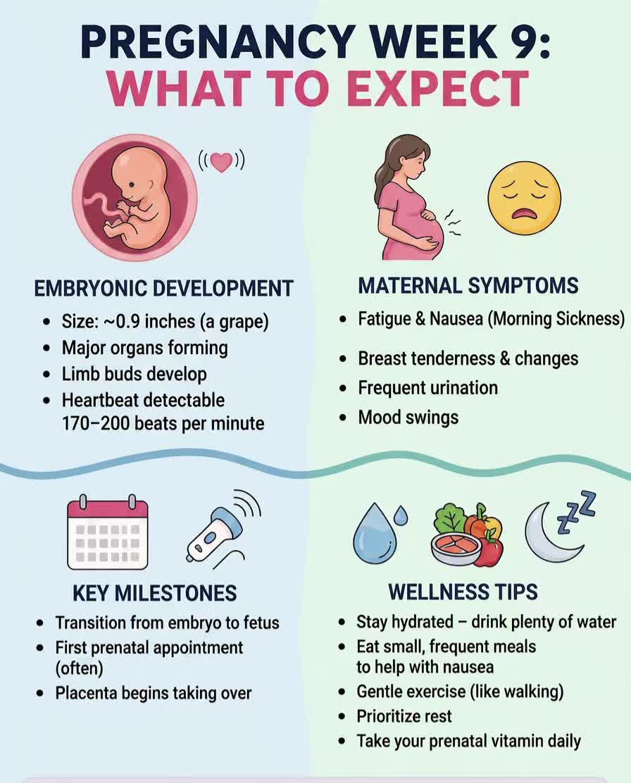 @Nurse Mum Guide
