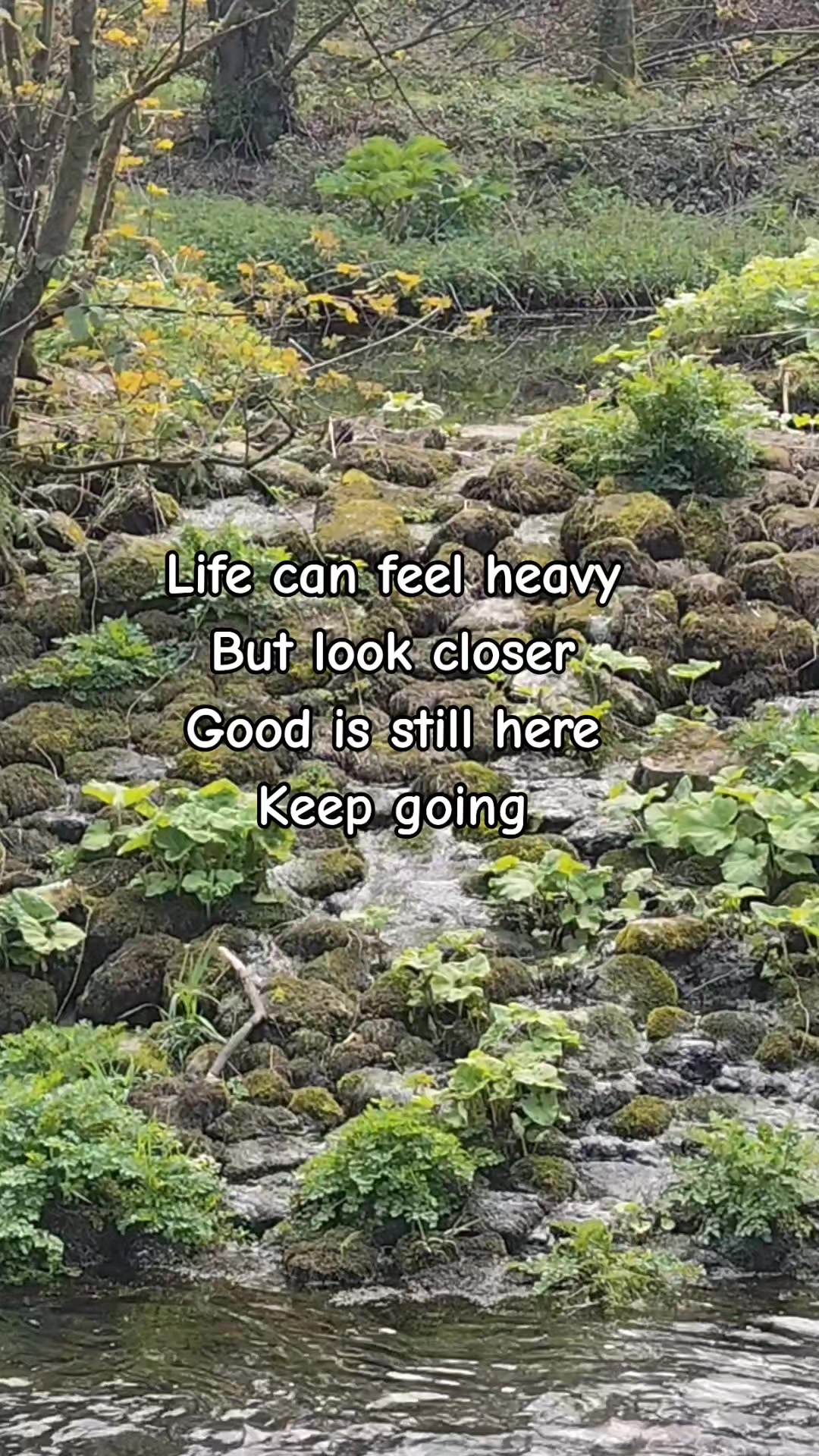 @Snap Clickle