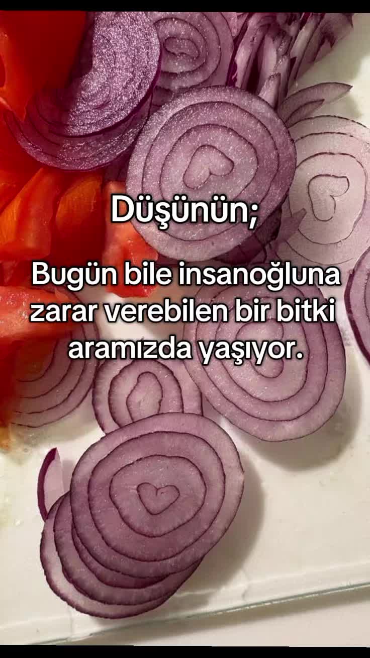 @🔮 𝑨𝒅𝒓𝒊𝒂𝒏 𝑉𝑜𝑖𝑐𝑒シ゚✨️