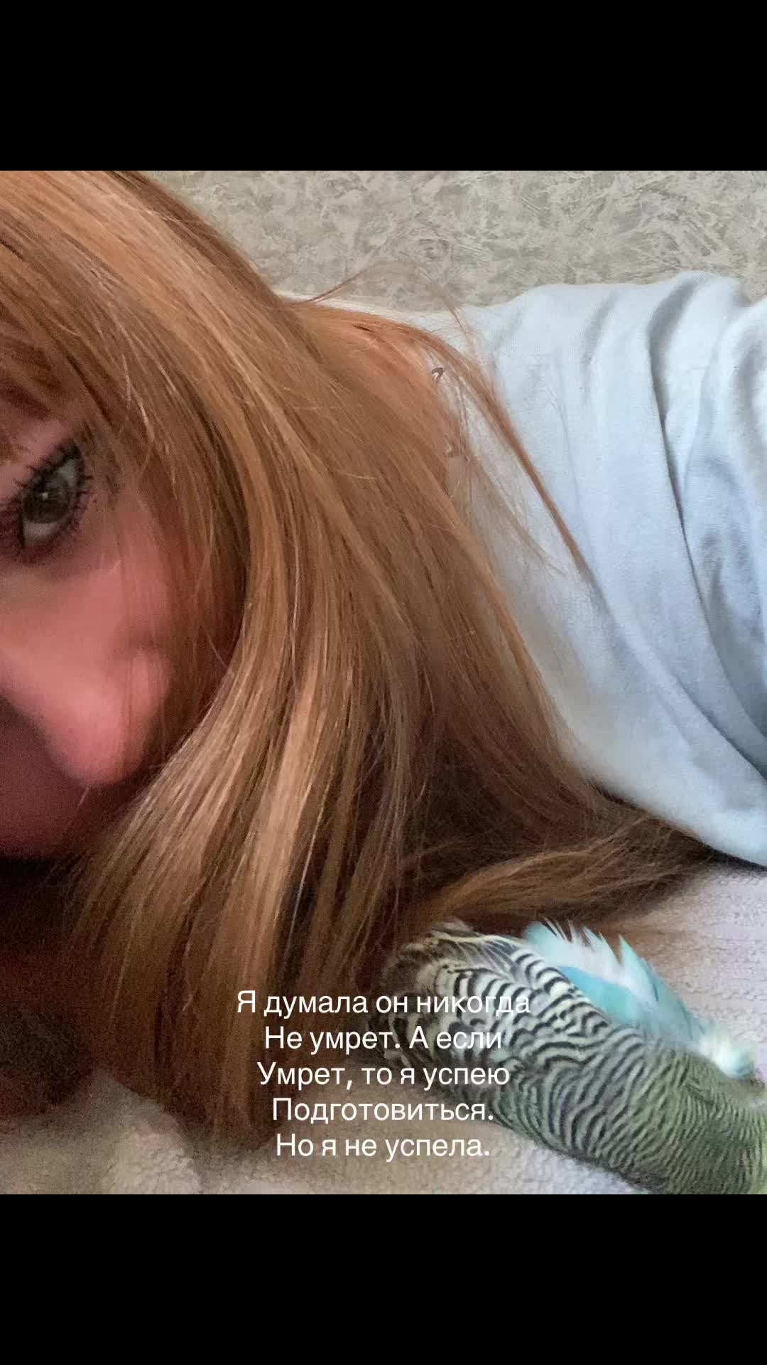 @arnwxqqi