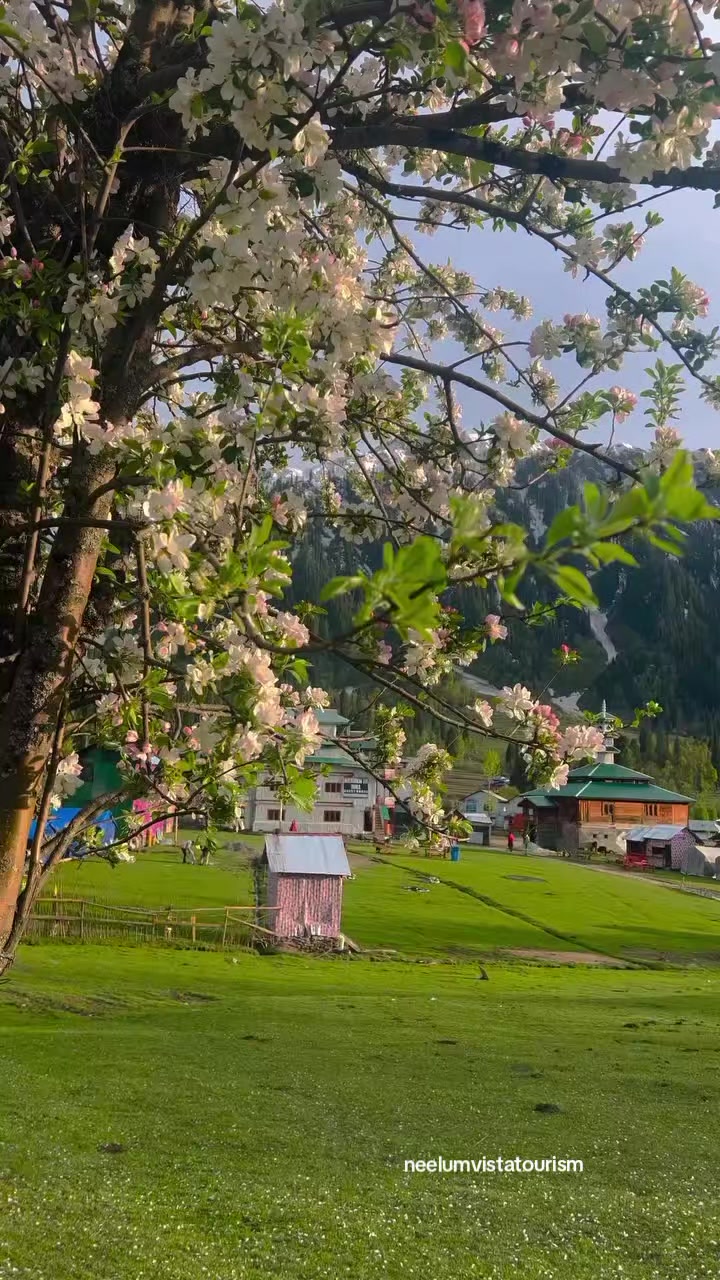 @Neelum Vista Tourism