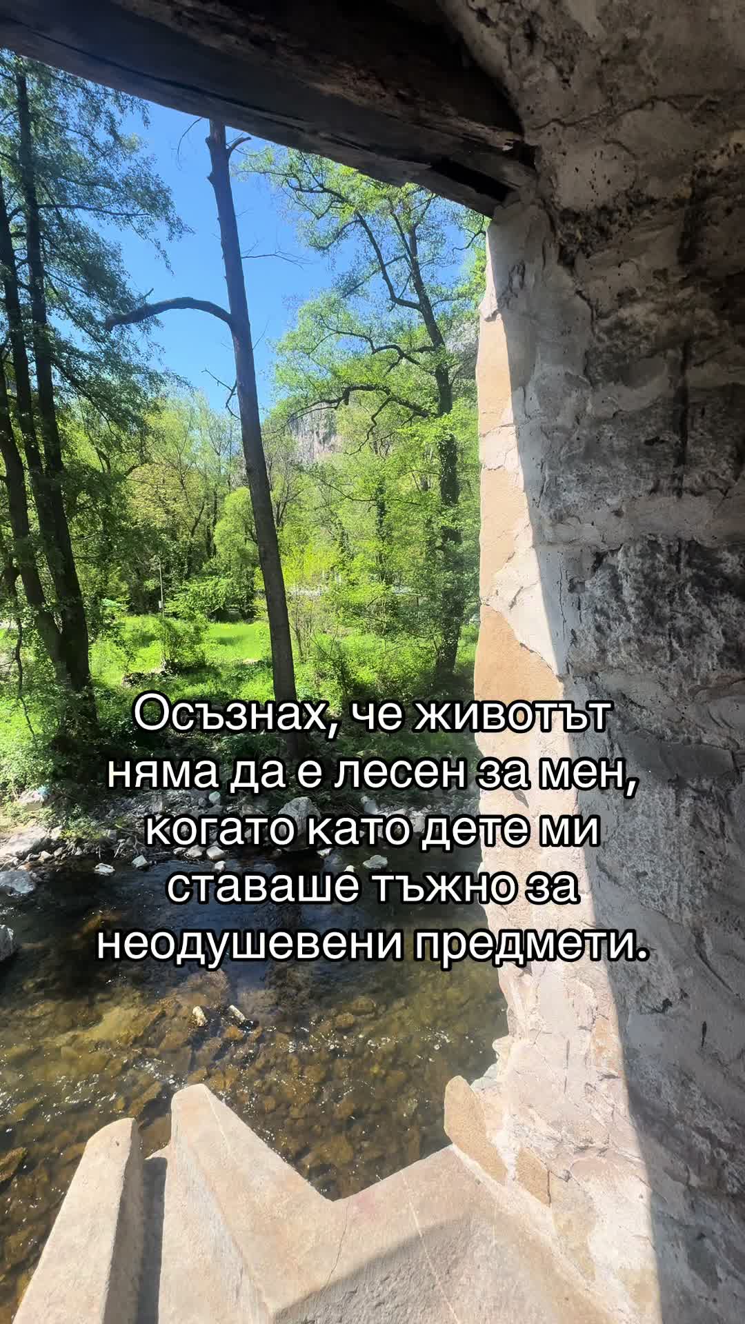 @ivelinakishev
