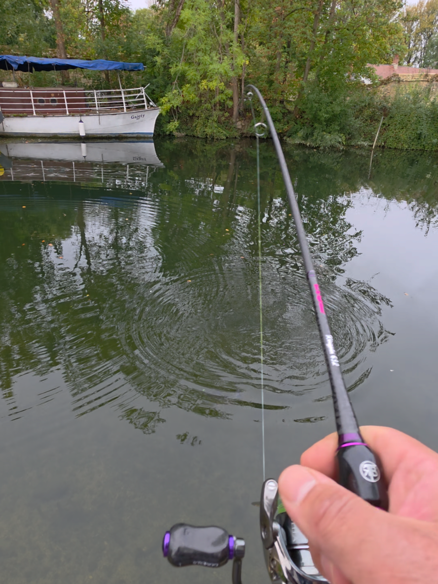 @BF Angler