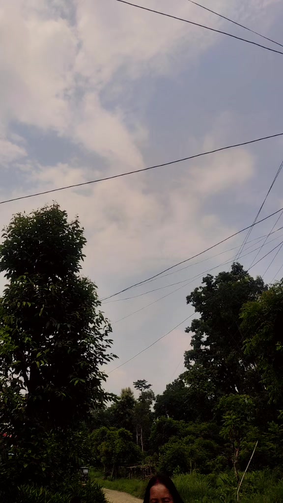 @Kalpana Magar
