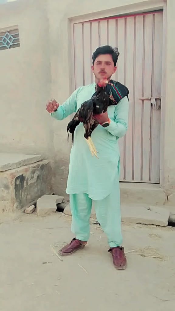@Mushraf Ali