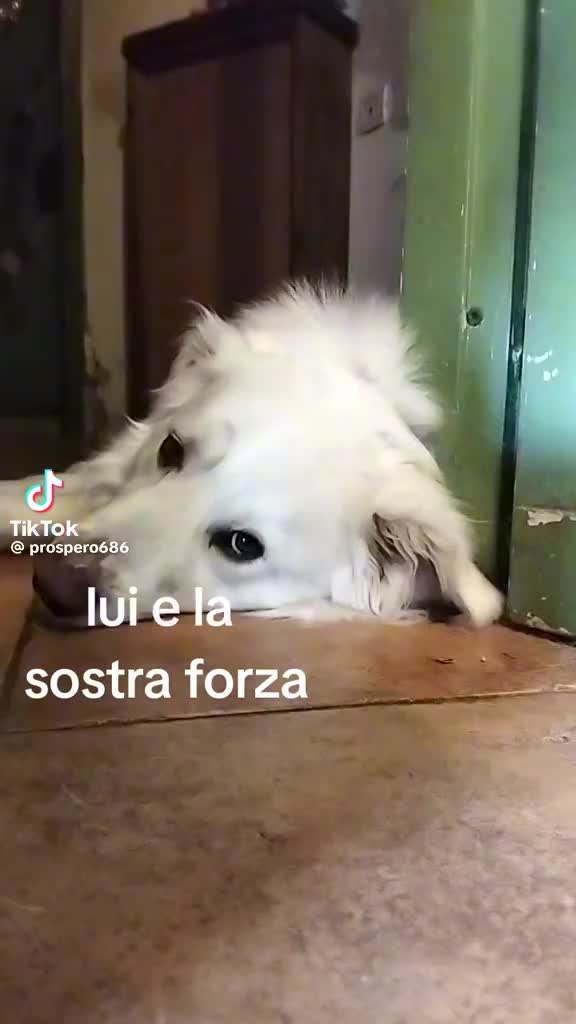 @principessa