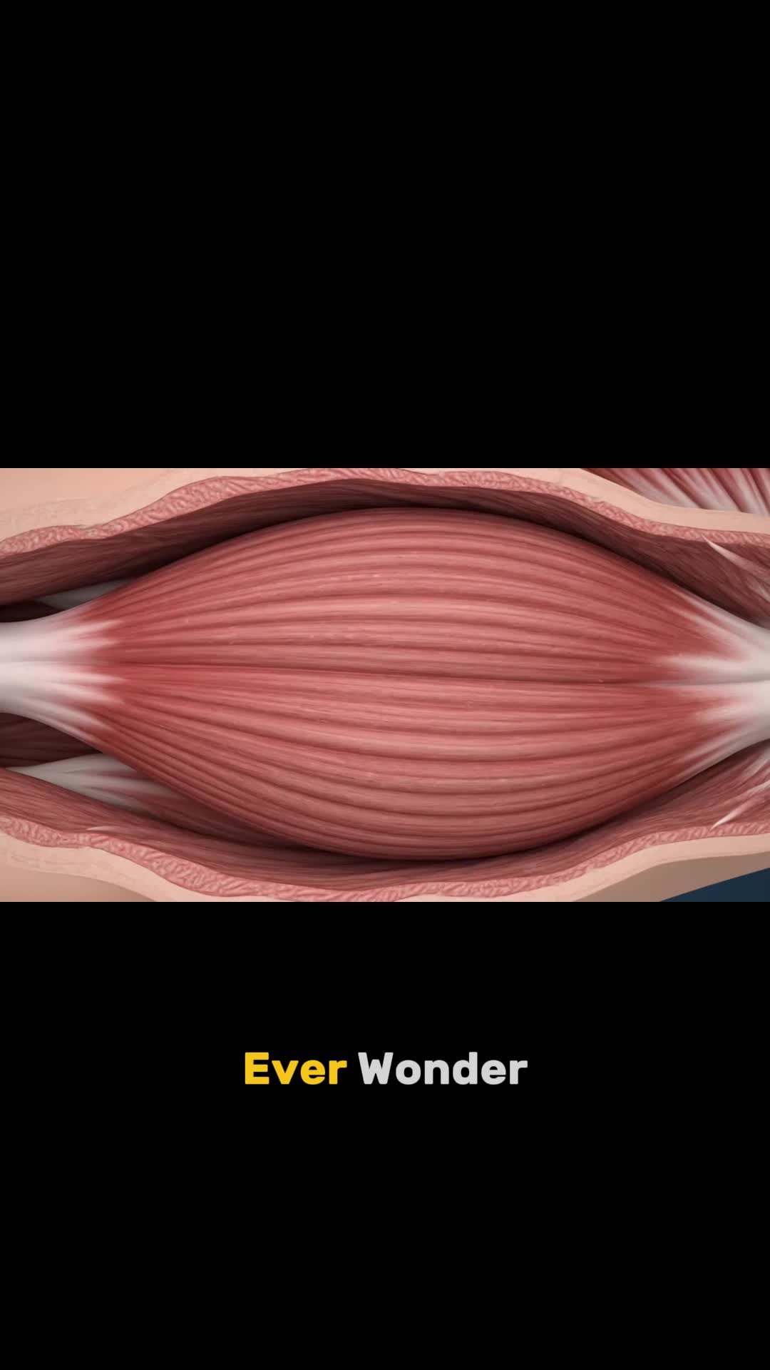@Flexplained