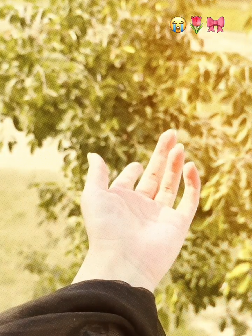 @🧸𝐓𝐞𝐝𝐝𝐲—𝐁𝐞𝐚𝐫🧸