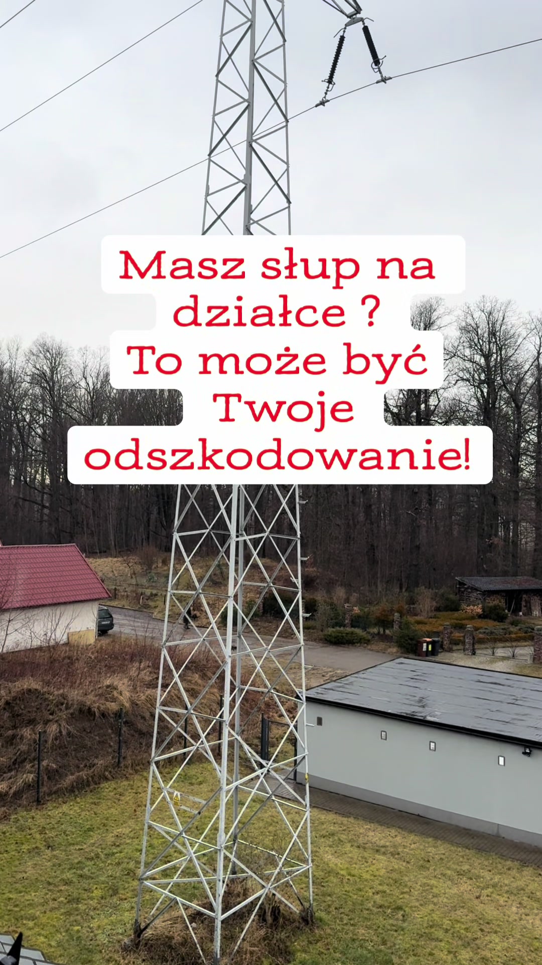 @Edyta Merk