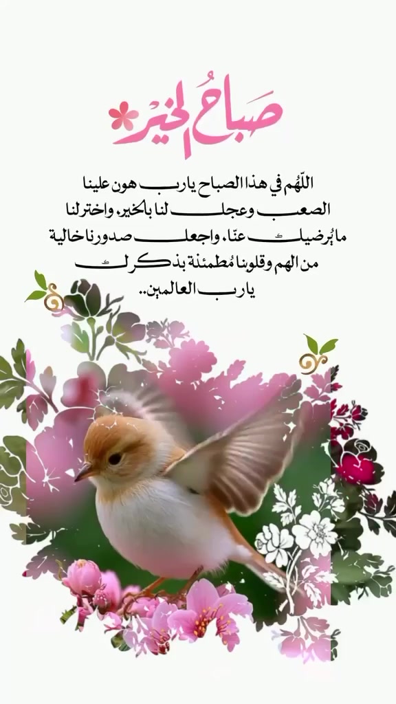 @abohashem123
