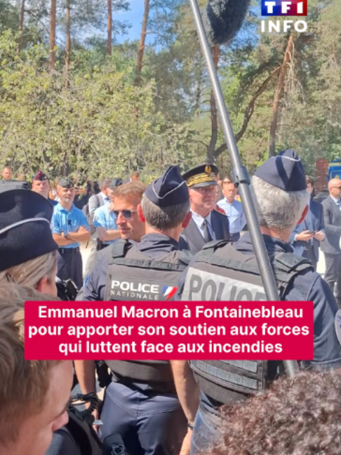 @TF1 INFO