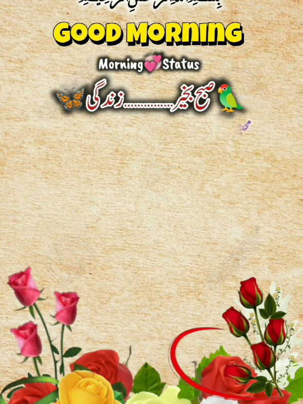 @کاشی رائٹس