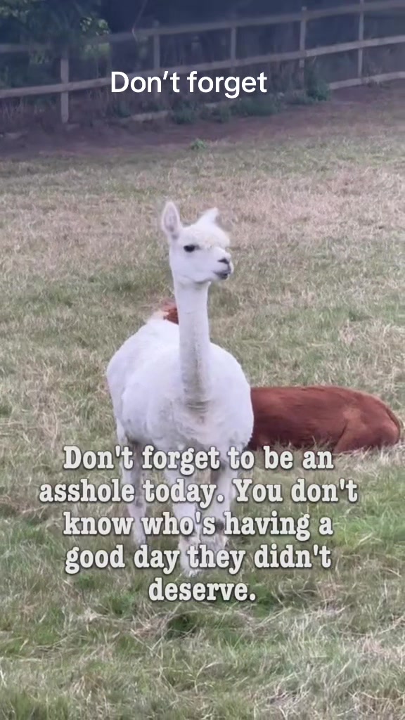 @Mike Kirk 🤪🫡🤪🫡🤪