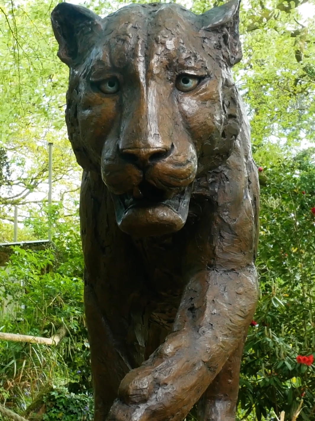 @Dartmoor Zoological Society