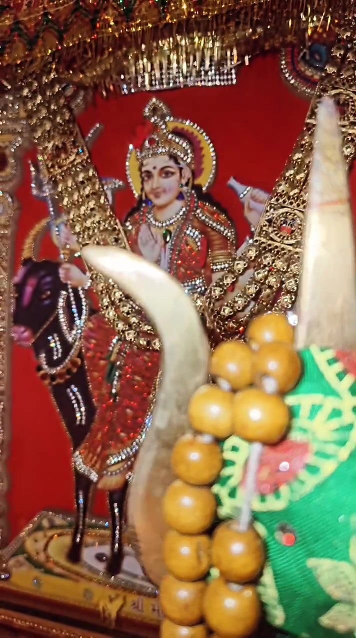 @JAY MATAJI 🙏🏻🙏🏻🙏🏻