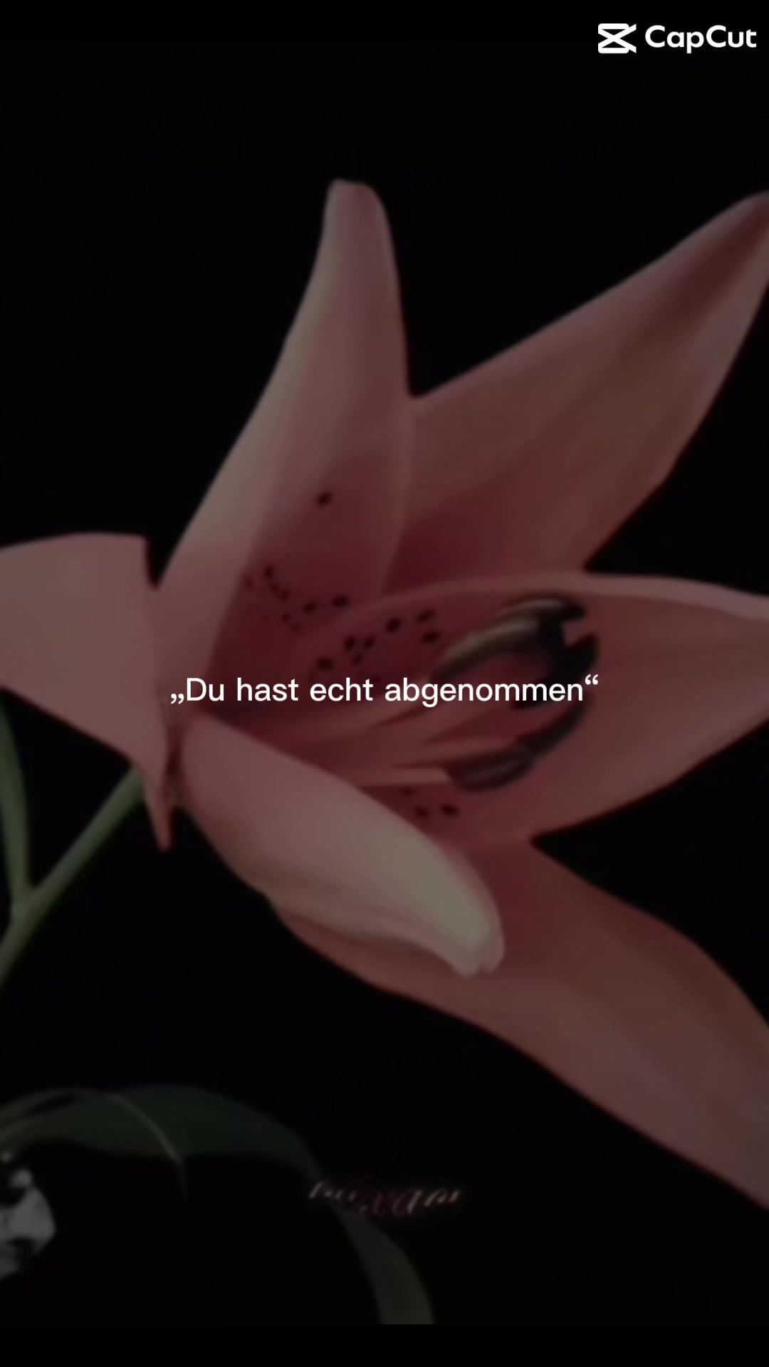 @prvt_acc6772