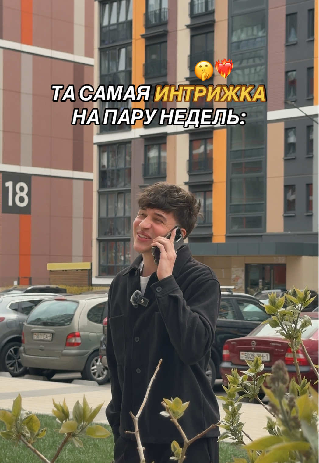 @МАЙОРЧИКИ | КОТОПЕС
