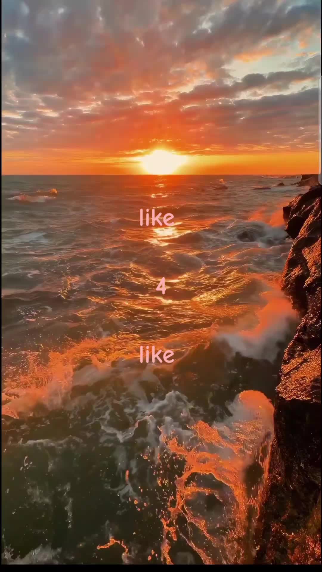 @🖤